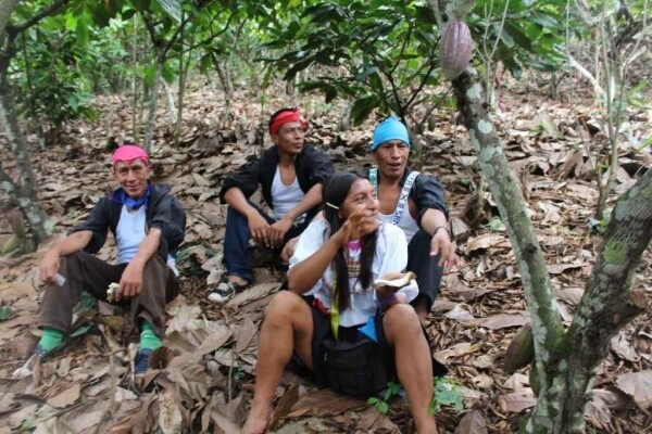 Millésime - Peru Speculoos - 55% chocolate de leite