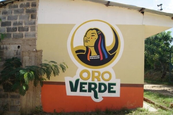 Millésime - Peru Speculoos - 55% chocolate de leite