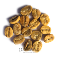 Grãos de café na fase amarela