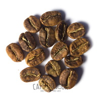 Grãos de café na fase amarelo/marrom